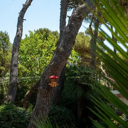 Atlantic Szálloda 3*